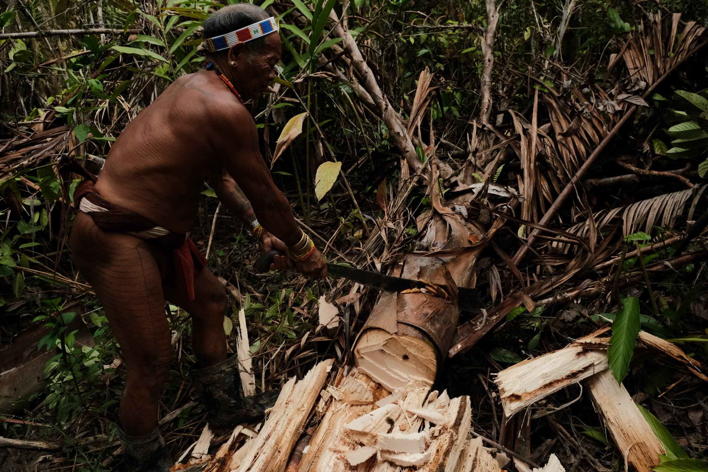 Sumatra — Donde la aventura vuelve a ser real